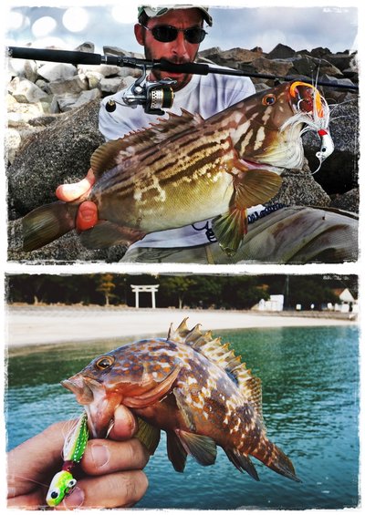 Banana 42 gr. y Bullet 7 gr.