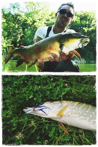 Banana 3,5 gr. y Minnow 21 gr.